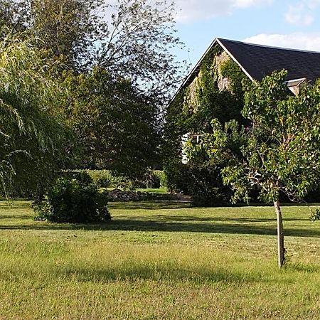 Gite Le Campagnard Saint-Germain-Des-Bois  Dış mekan fotoğraf